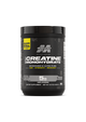 MT PLATINUM CREATINE 400g