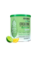 BIRDMAN CREATINA ELECTROLYTE REFRESHER 300 G