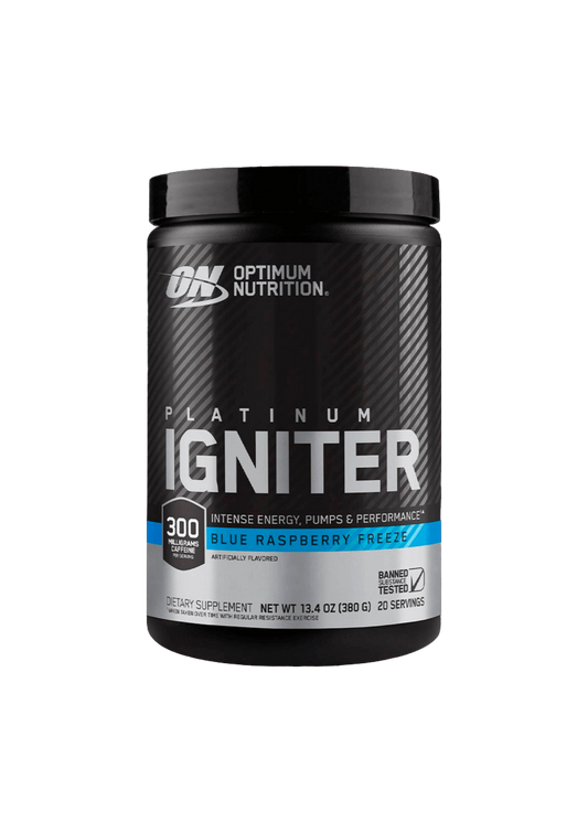 ON IGNITER 20 SERV