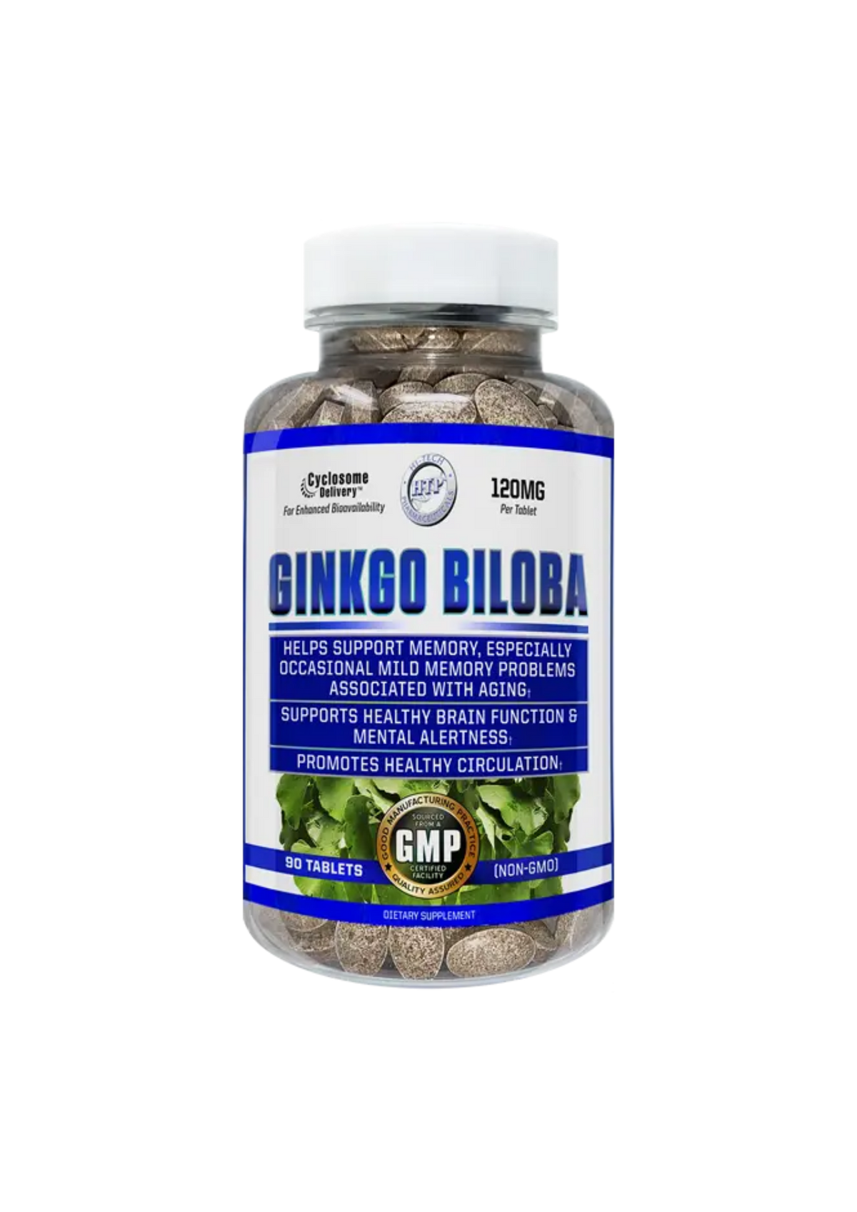 HTP GINKO BILOBA 90 CT