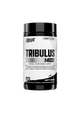 NT TRIBULUS 1400 90 CT